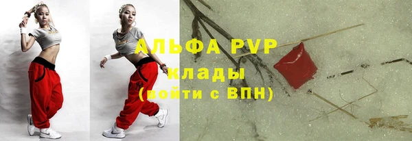 круглые Абаза