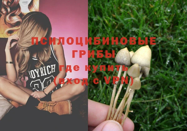 круглые Абаза