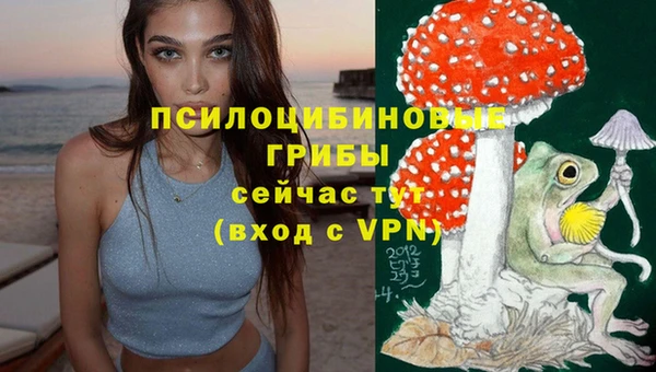 круглые Абаза