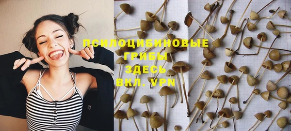 первитин Абинск