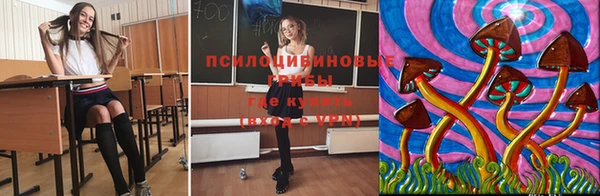 первитин Абинск