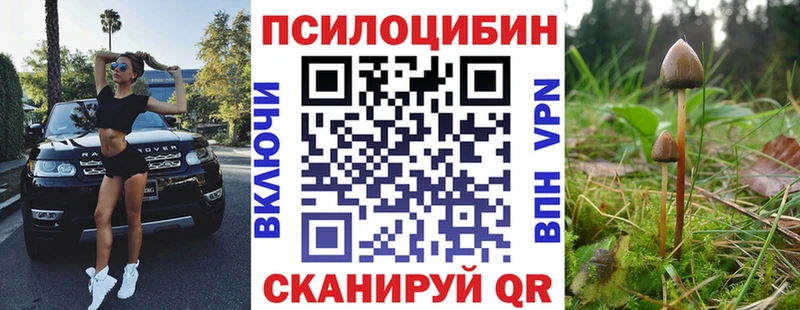 МЕГА   продажа наркотиков  Пенза  Псилоцибиновые грибы MAGIC MUSHROOMS 