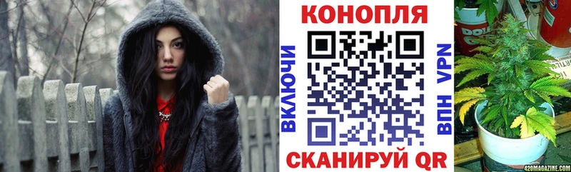 купить закладку  Пенза  Бошки марихуана гибрид 